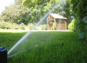Our Santee CA Sprinkler System Contractors Work on Systems of All Sizes